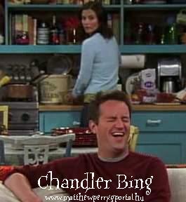 Chandler Bing - Matthew Perry